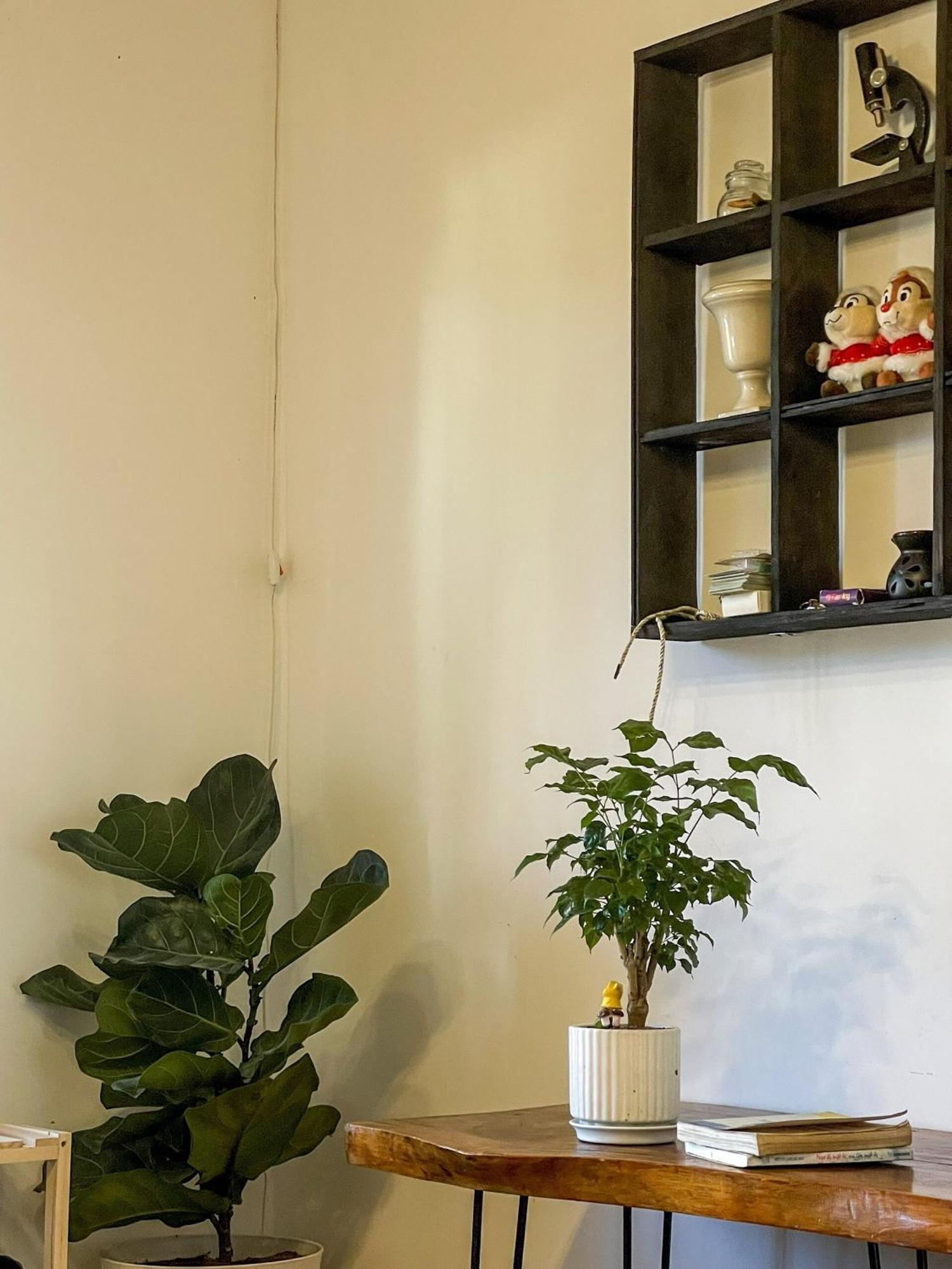 Hat De Homestay Dalat Exteriér fotografie