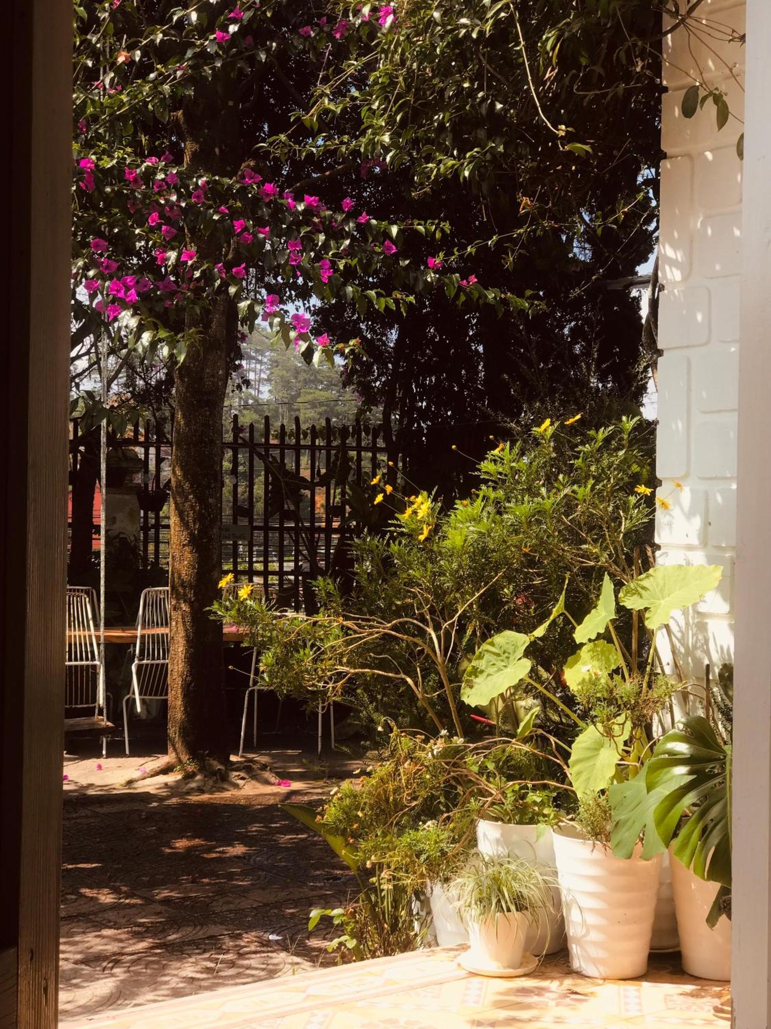 Hat De Homestay Dalat Exteriér fotografie